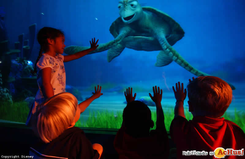 Imagen de Parque Temático Epcot  Turtle Talk with Crush   The Living Seas